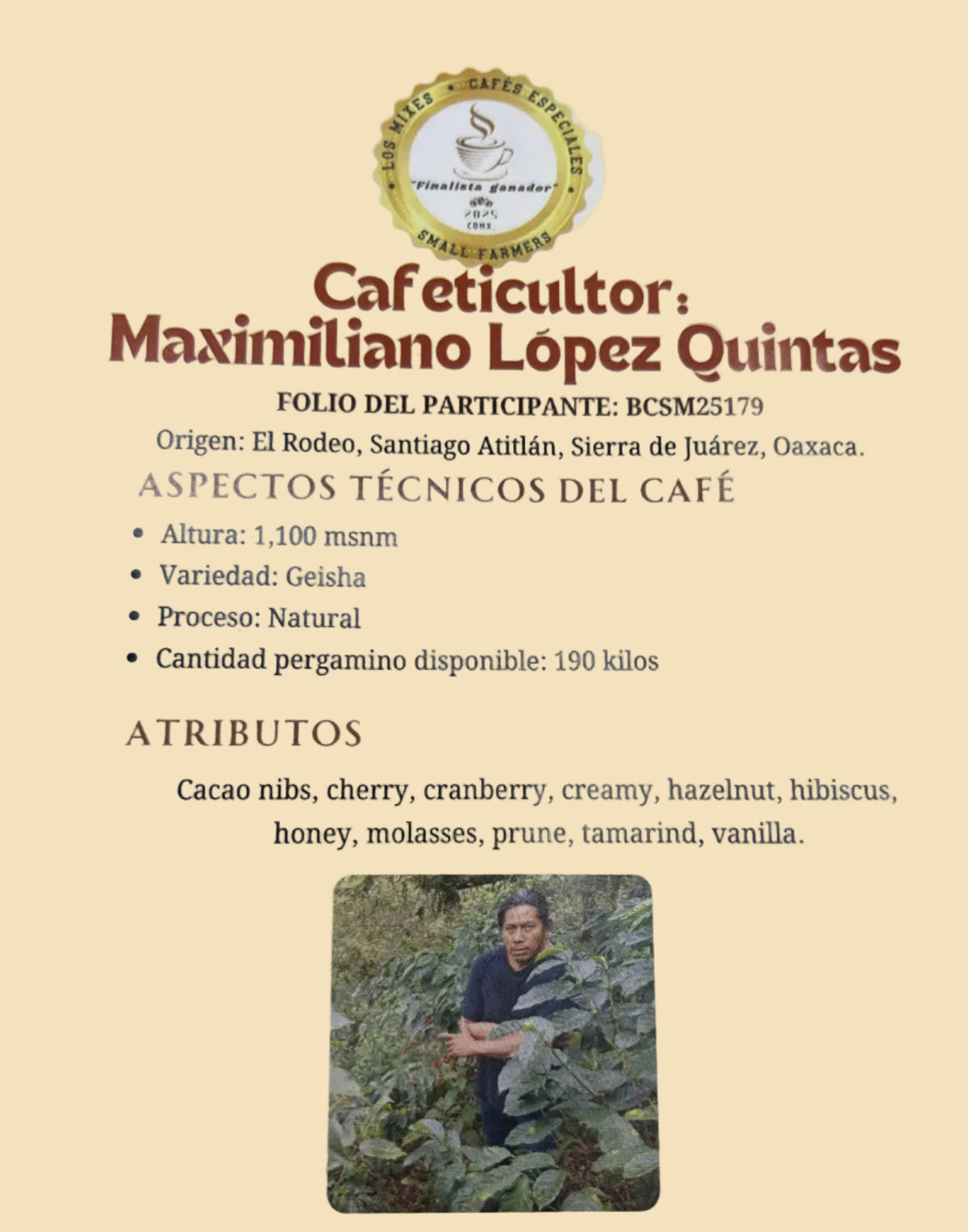 Café Gesha Natural de Maximiliano López Quintas  Montañas Mixe 250gr.
